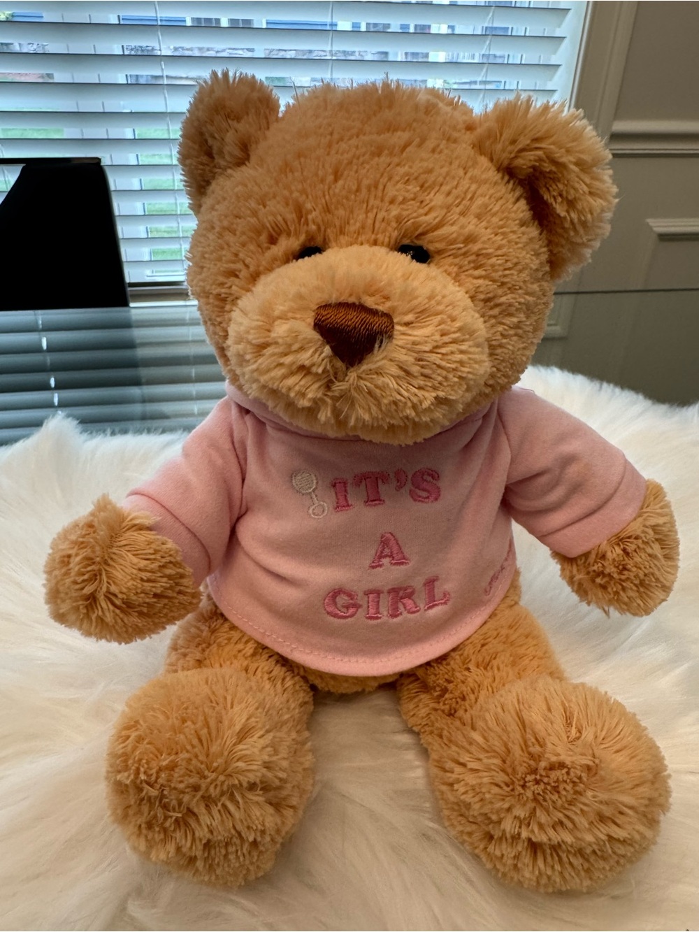 Gund Plush Brown Teddy Bear in Pink "It's A Girl" Shirt - Soft Kids Toy
